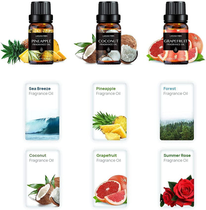 Lagunamoon Fragrance Oils Gift Set, Sea Breeze, Pineapple, Forest, Grapefruit, Summer Rose Fragrance Oil, Coconut Fragrance Oil for Candle Making, Soap, Bath Bombs DIY, Diffuser, 10ML/Bottle